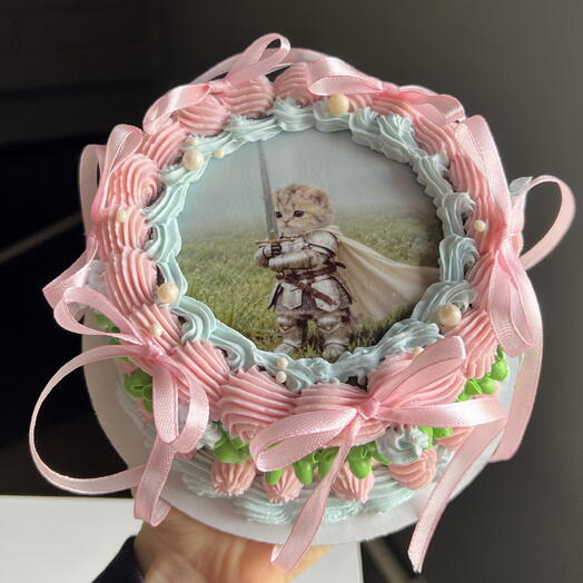 Мини торт Кошечка Рыцарь
