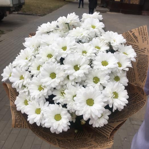 7 ромашковых хризантем