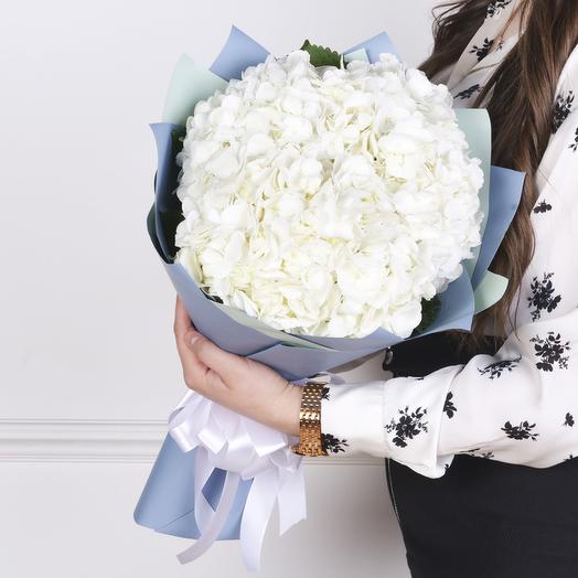 7 Hortensias Blancas
