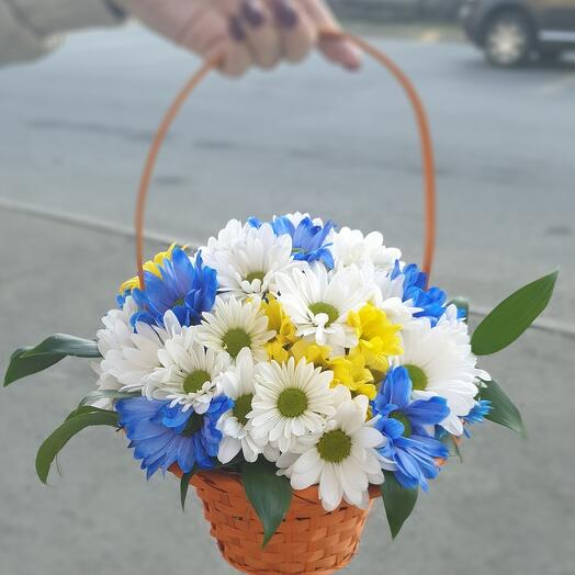 Корзина цветных ромашек