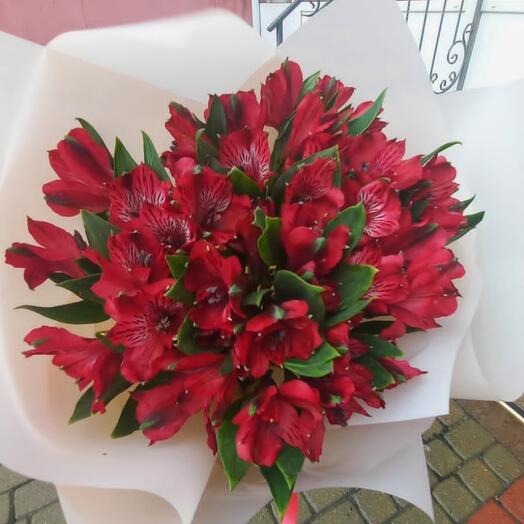 Альстромерия 7