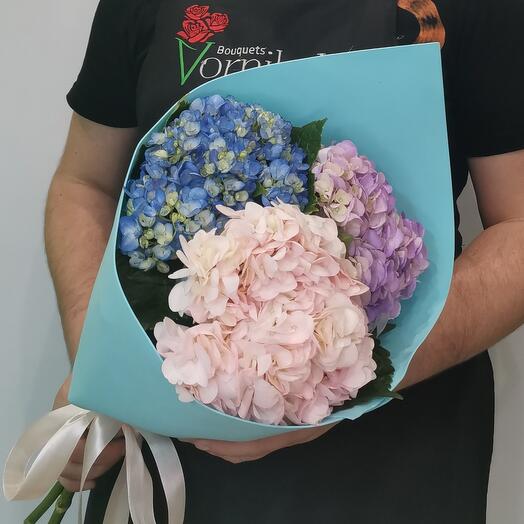 Bouquet of hydrangeas