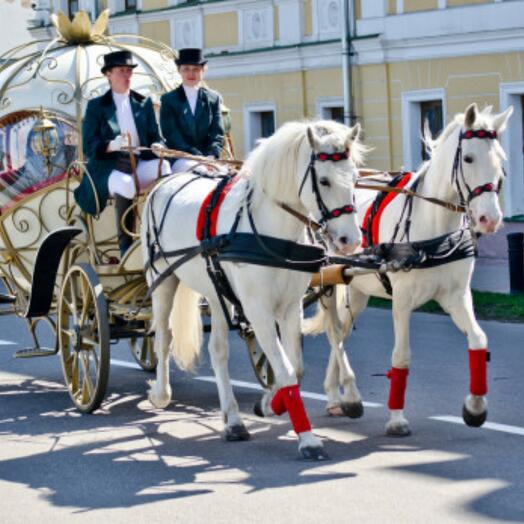 A walk in an old horse-drawn carriage