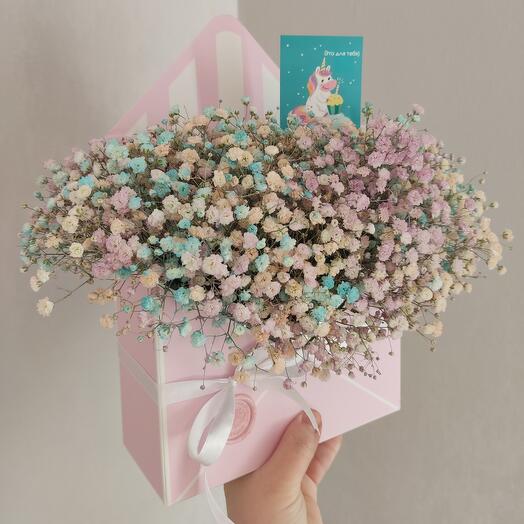 💌 sobre de gypsophila arcoíris