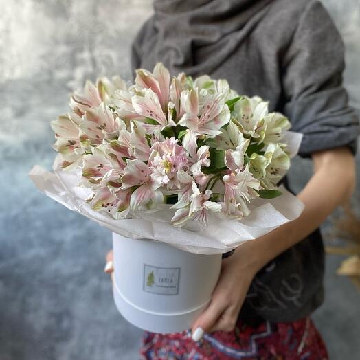 A box with the most delicate alstroemeria