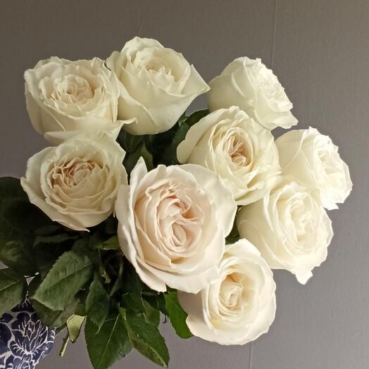 Rosas blancas (9 piezas)