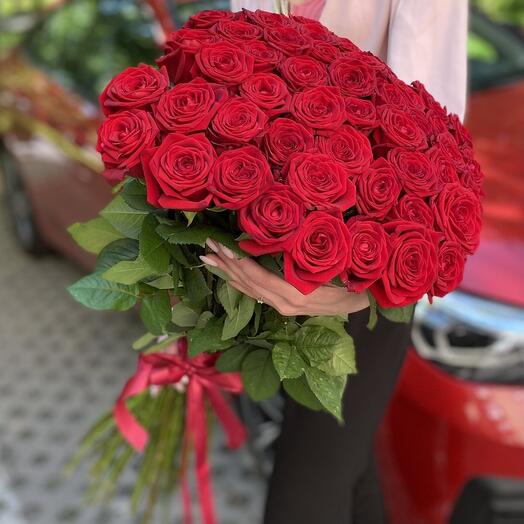 Rosa Roja 51