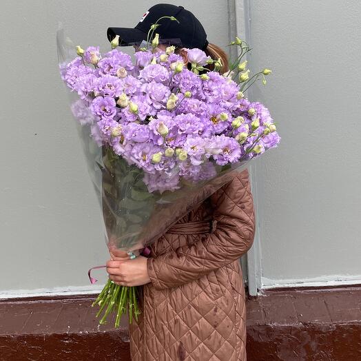 Eustoma