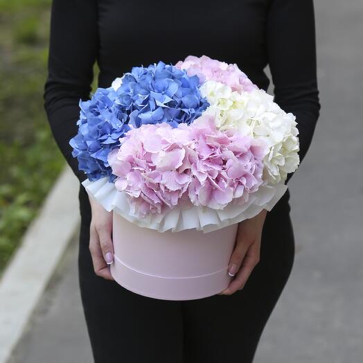 Bouquet of mixed hydrangeas in a hatbox, 5 pieces