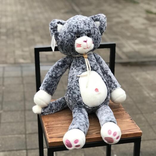 Кошка Красавица