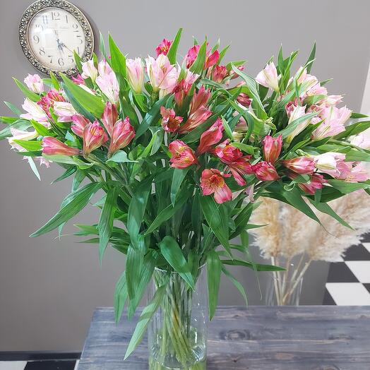 Alstroemeria 🕊