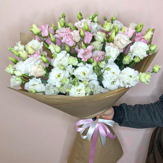 Eustoma