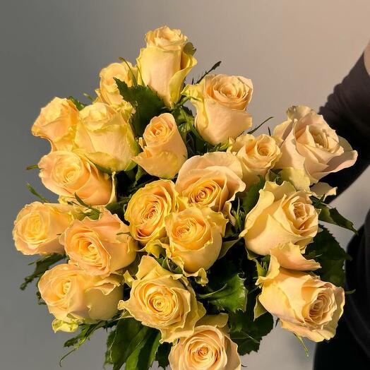 Bouquet of 19 cream roses