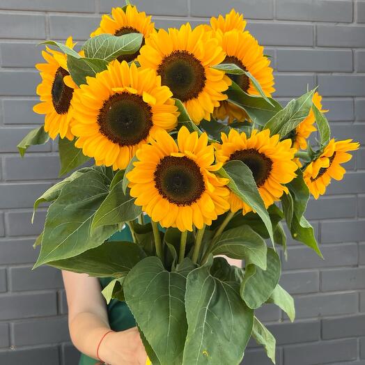 Летний букет 🌻💛