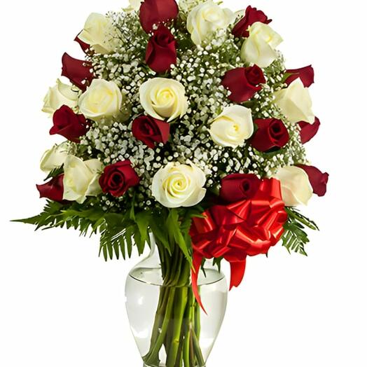 Beauty of Red And White Roses