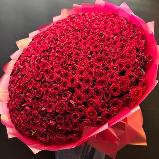 Букет из 351 Роза 🌹️