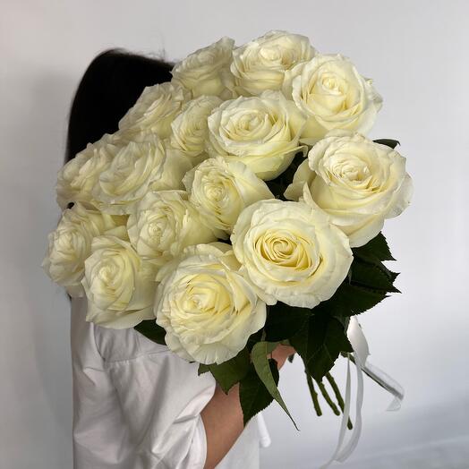 Белая  голландская Роза 15 шт