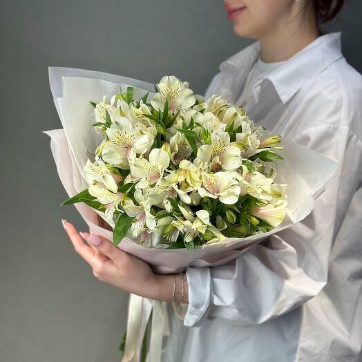 White Alstroemeria in Stylish Packaging-1850