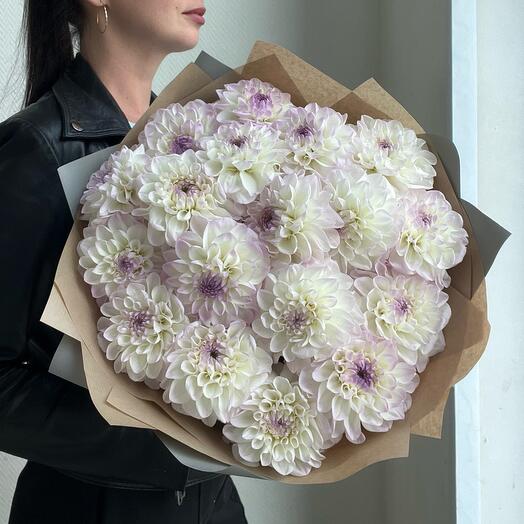 Георгины 19 шт