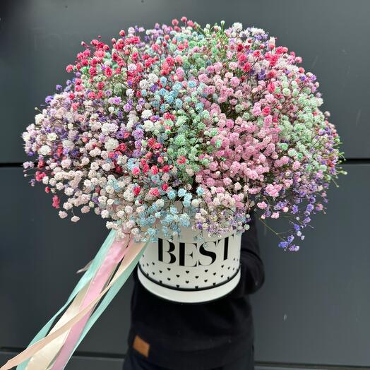 Гипсофила в коробке