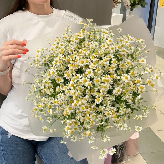 Камилла