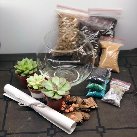 Kit de bricolaje florarium