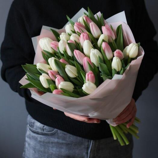 Pink   white Tulips