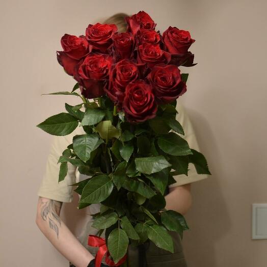 11 rosas altas debajo de la cinta