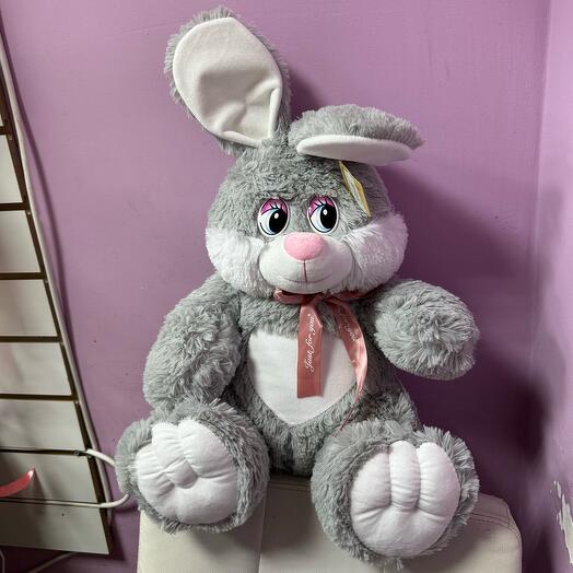 Заяц🐰
