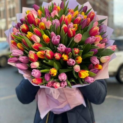 Разноцветные  тюльпаны