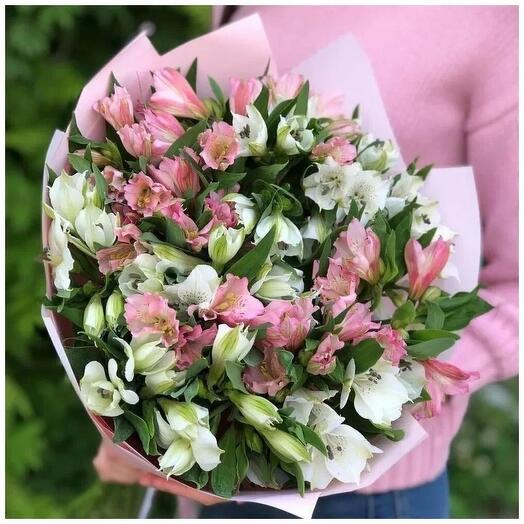 Alstroemeria 15 Mix