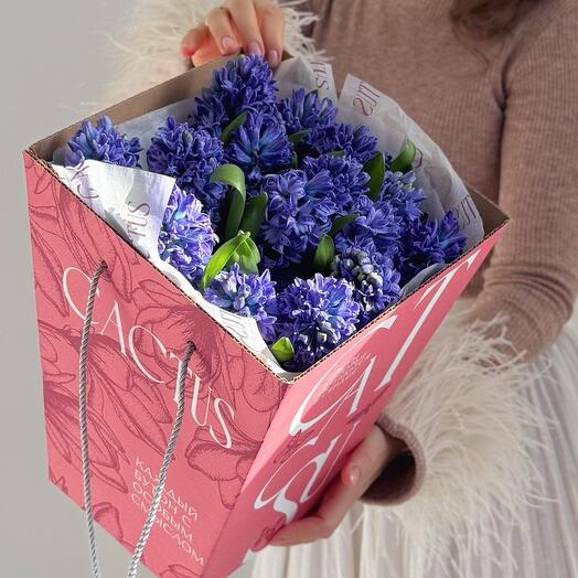 Гиацинты BLUE в брендированной коробке-переноске