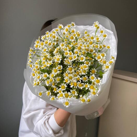 Ромашки