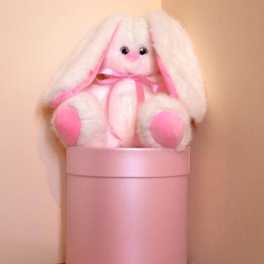 Белый зайчик в шляпной коробке