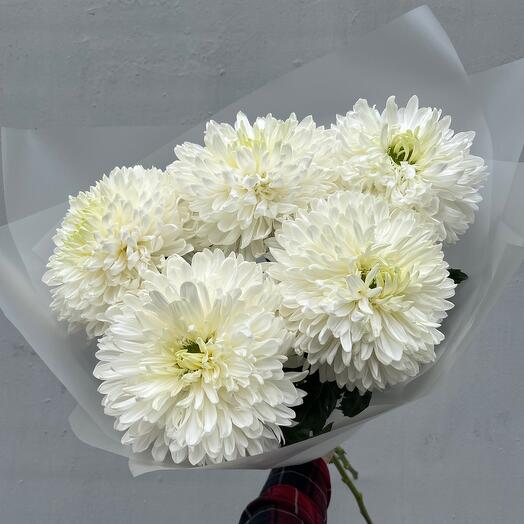 Букет из 5 белых пышных хризантем