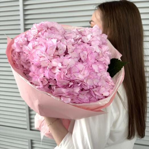3 hortensias rosas