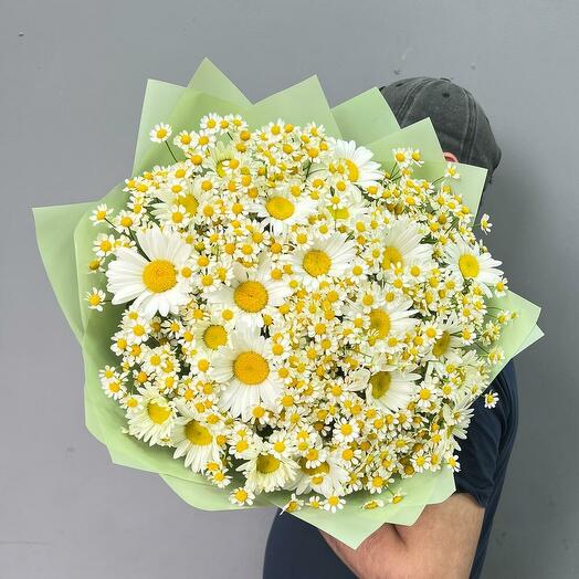 Крупные ромашки и кустовые ромашки в зеленой упаковке 💚