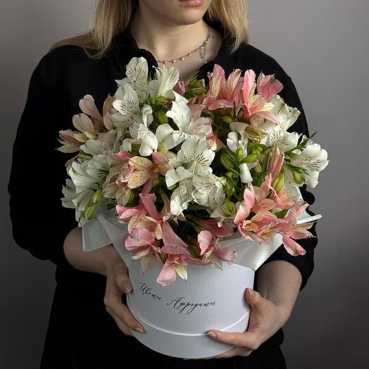 Альстромерия в шляпной коробке🌸 М