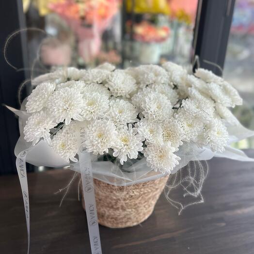 Большая корзина из хризантем☁️ Плюшевый медведь в подарок❗️