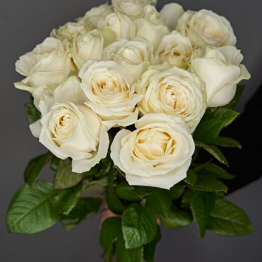 Avalanche roses 15 pcs 50 cm tied with ribbon