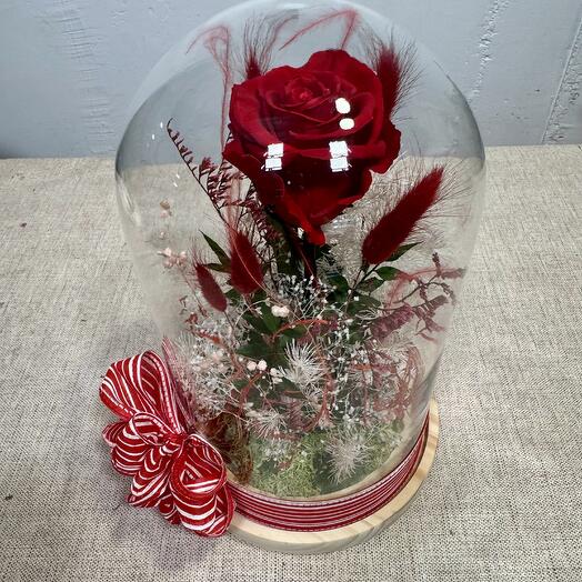 Jardín de rosas rojas- rosa preservada - de larga duración, romance, mejórate, regalo te amo