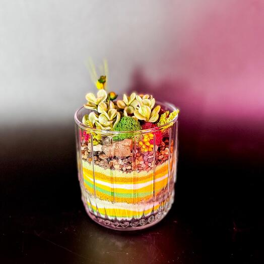 Флорариум с портулакарией