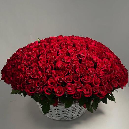 Огромная корзина из 401 розы