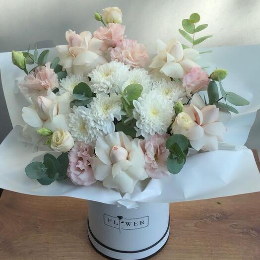 Звезды Снежные