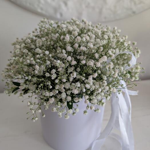 Гипсофила белая в коробке для мамы