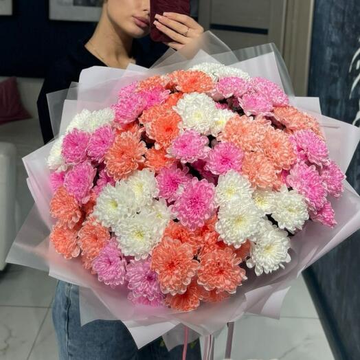 Розово-персиковые хризантемы