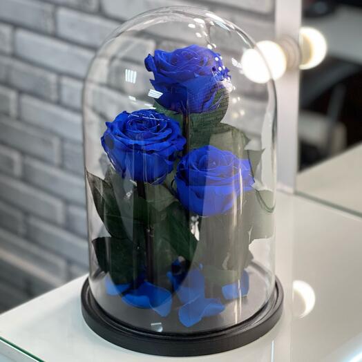 Трио «VIP» синие розы в колбе в подарочной коробке /32 см