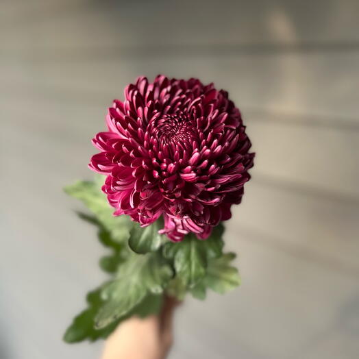 ArtFlower