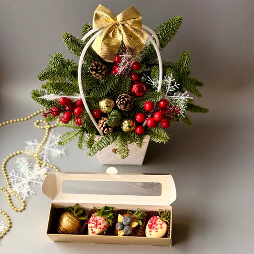 Клубника в бельгийском шоколаде 4 ягоды и букет из ели (нобилиса)