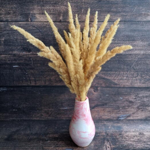 Вейник в гипсовой вазе